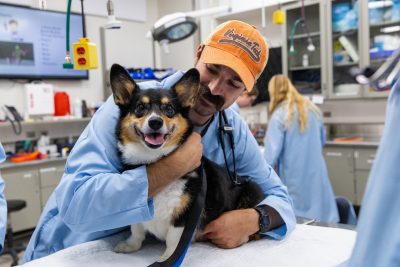 Lab member working in Restraint lab