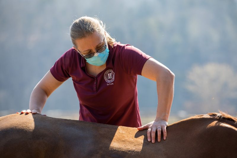 Dr. Funk performing chiropractic services