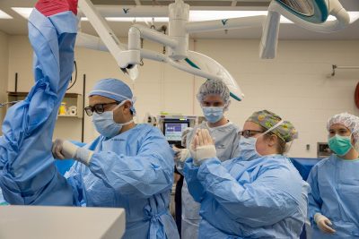 Large Animal Teaching and Learning in Surgery