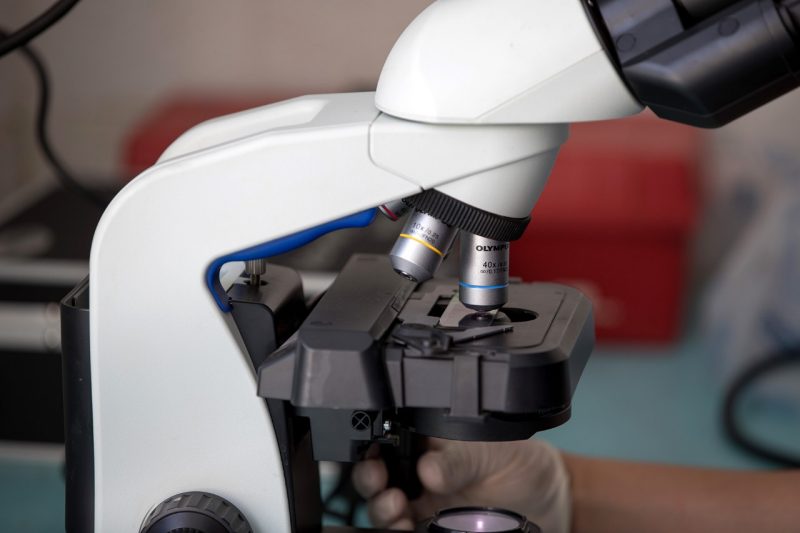 Microscope