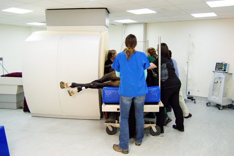Magnetic Resonance Imaging