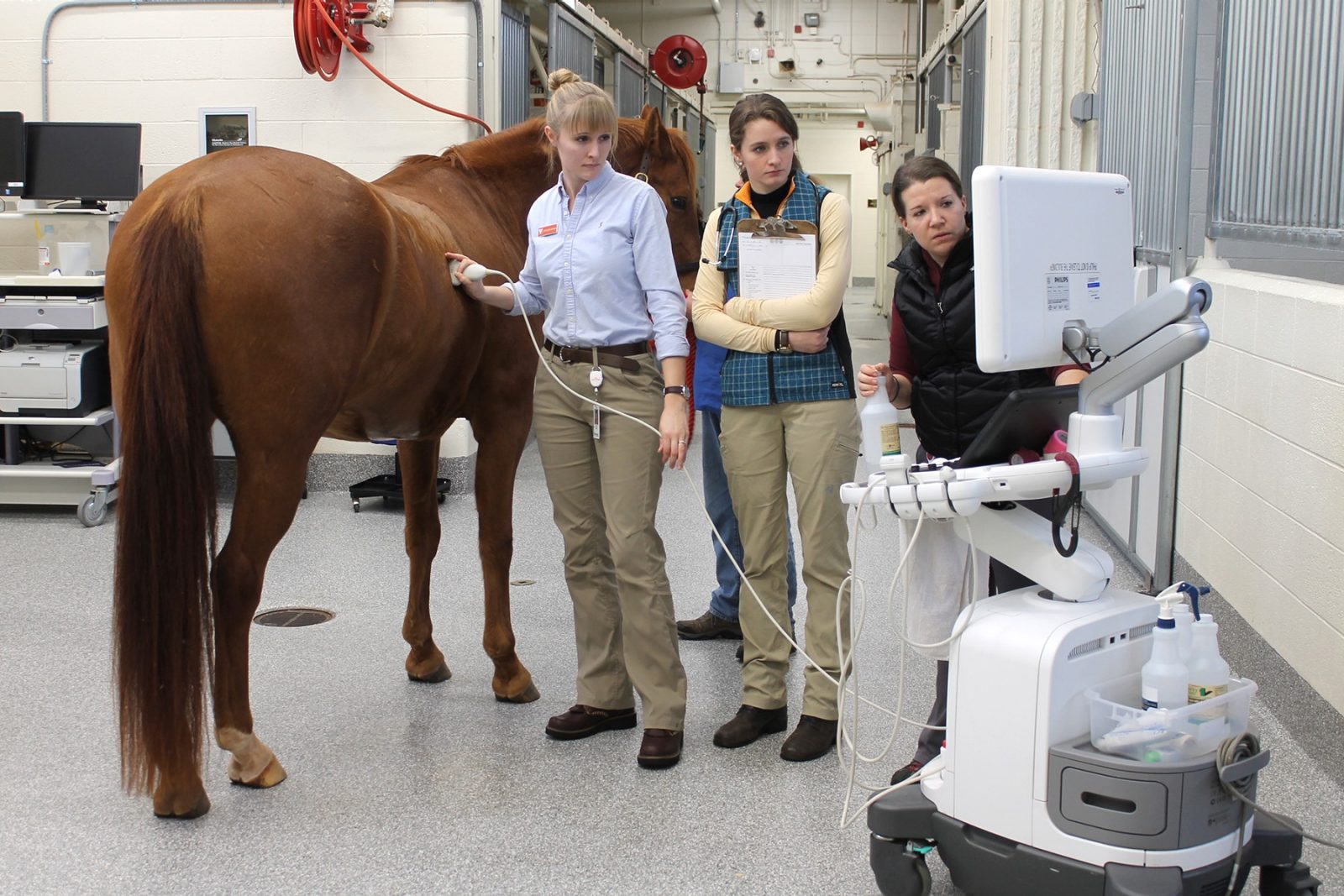 Farm Animal Services On Farm And In Hospital Veterinary Teaching farm-animal-services-on-farm-and-in-hospital-veterinary-teaching