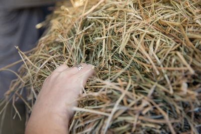 Bale of hay.