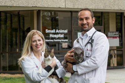 animal services homepage