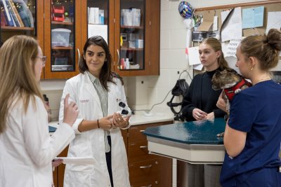 Renata Ramos and the ophthalmology team working at the Veterinary Teaching Hospital.