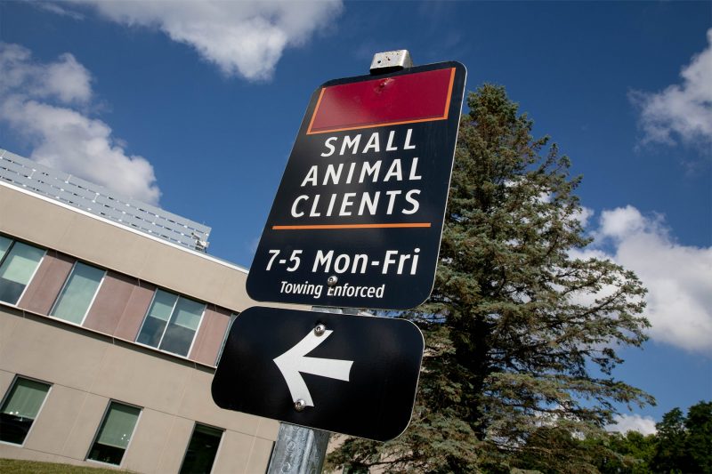Small Animal Client Parking