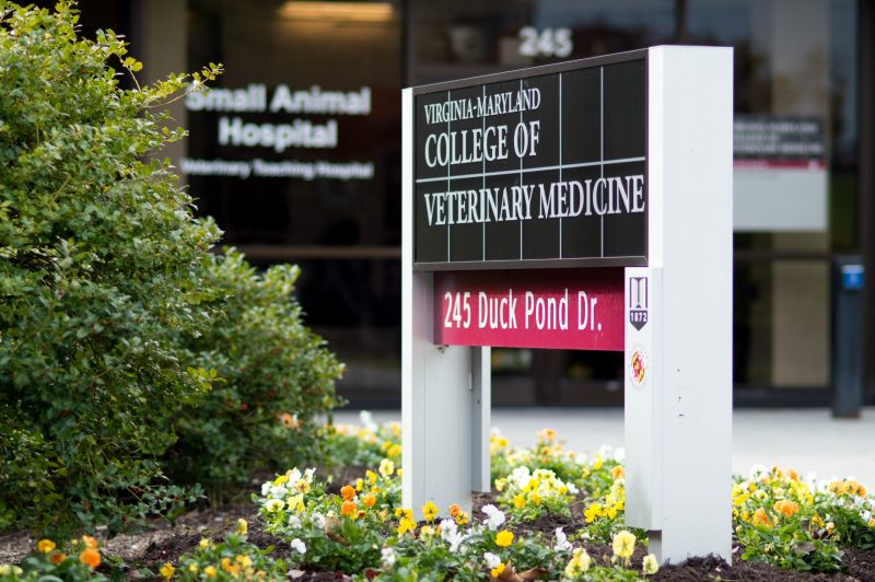 Veterinary Teaching Hospital Veterinary Teaching Hospital at Virginia-Maryland College of Veterinary Medicine