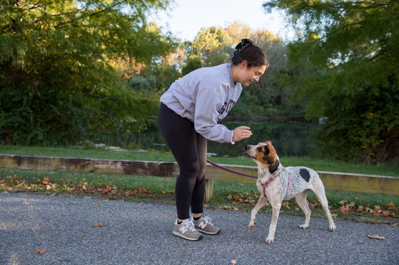 ACE with Student 1 Student working with a canine companion.