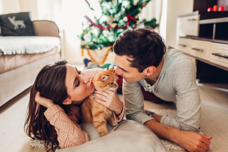 Couple with cat, Holiday A man and woman kissing their cat on the floor of a living room in front of their Christmas tree