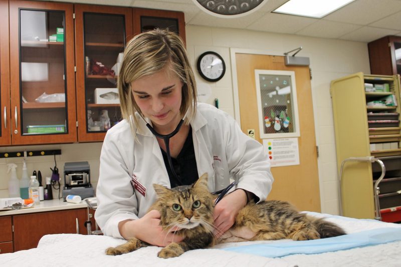 Dr. Villm and cat