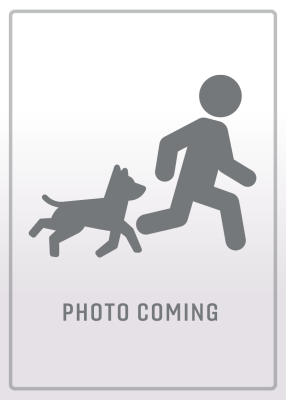 Photo coming soon.