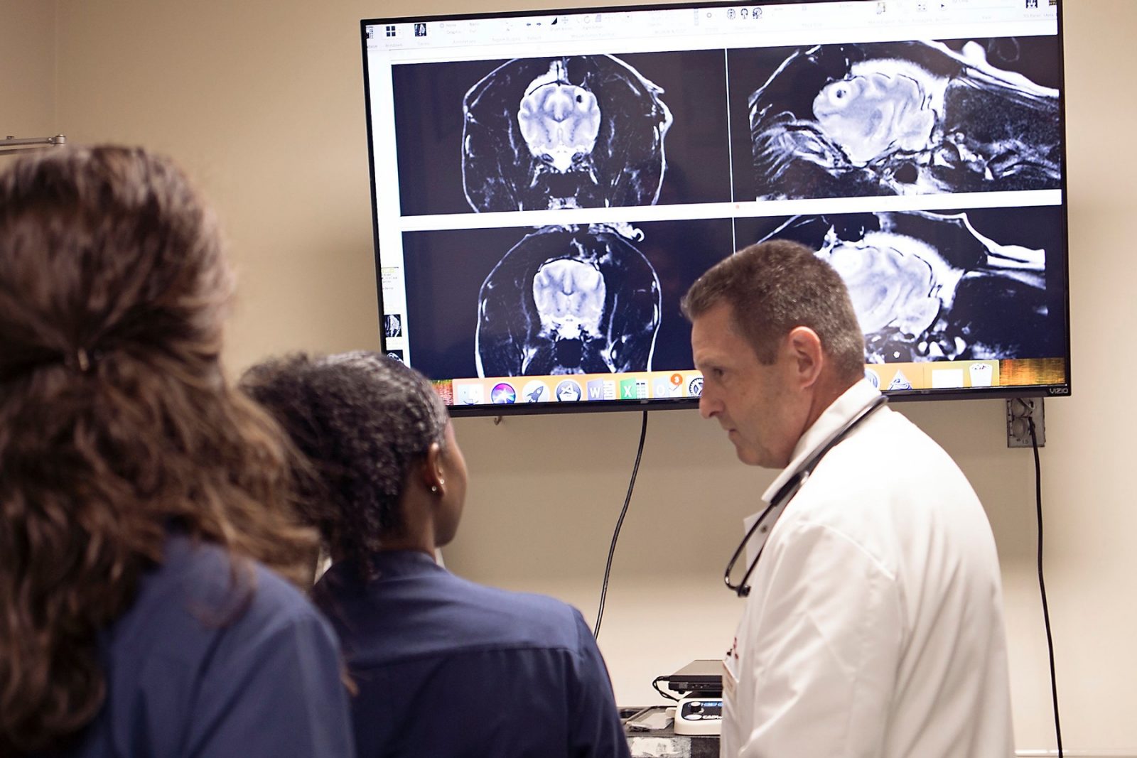 Neurology Veterinary Teaching Hospital Virginia Tech