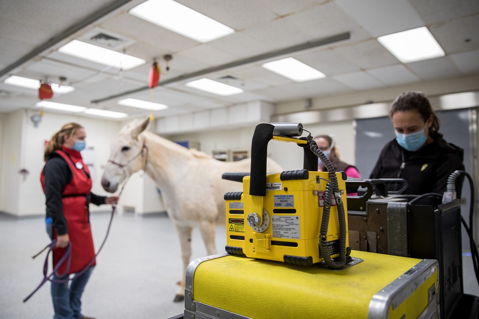 Digital Radiology Veterinary Teaching Hospital Virginia Tech